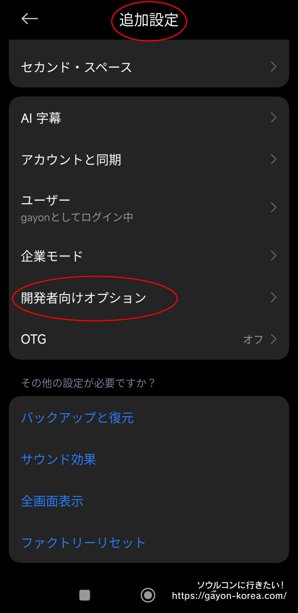 Android-設定アプリで開発者向けオプションを開く