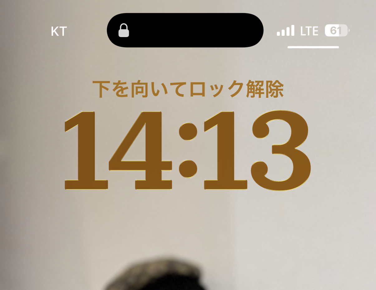 KTの回線に繋がったのがわかる画面